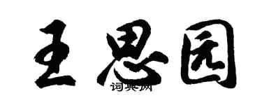 胡问遂王思园行书个性签名怎么写