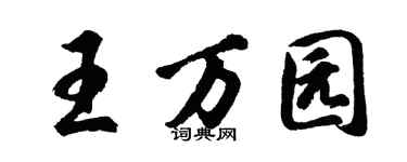 胡问遂王万园行书个性签名怎么写