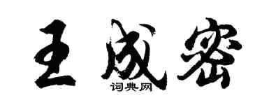 胡问遂王成密行书个性签名怎么写