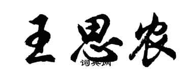 胡问遂王思农行书个性签名怎么写