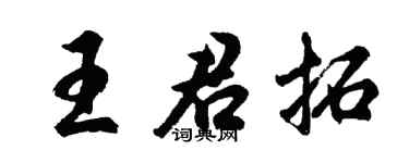 胡问遂王君拓行书个性签名怎么写