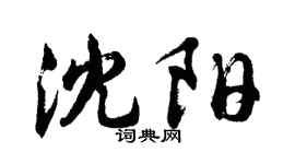 胡问遂沈阳行书个性签名怎么写