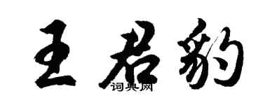 胡问遂王君豹行书个性签名怎么写