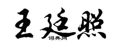 胡问遂王廷照行书个性签名怎么写