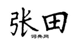 丁谦张田楷书个性签名怎么写