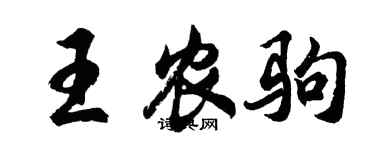 胡问遂王农驹行书个性签名怎么写