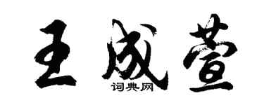 胡问遂王成萱行书个性签名怎么写