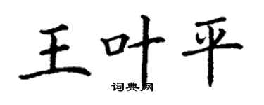 丁谦王叶平楷书个性签名怎么写