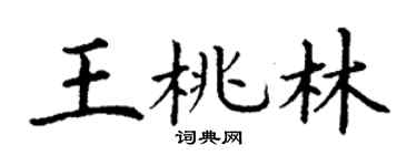 丁谦王桃林楷书个性签名怎么写