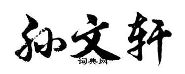 胡问遂孙文轩行书个性签名怎么写