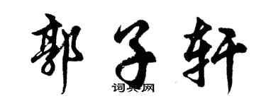 胡问遂郭子轩行书个性签名怎么写