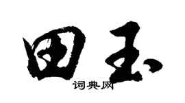 胡问遂田玉行书个性签名怎么写