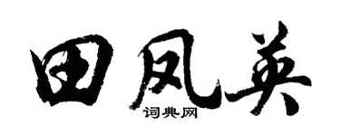 胡问遂田凤英行书个性签名怎么写