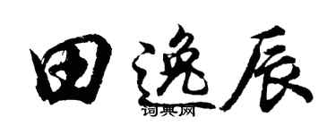 胡问遂田逸辰行书个性签名怎么写