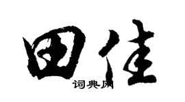 胡问遂田佳行书个性签名怎么写