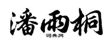 胡问遂潘雨桐行书个性签名怎么写