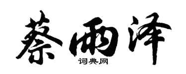 胡问遂蔡雨泽行书个性签名怎么写