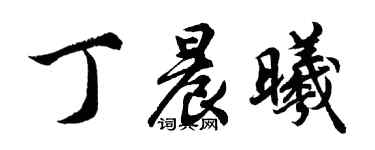 胡问遂丁晨曦行书个性签名怎么写