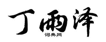 胡问遂丁雨泽行书个性签名怎么写