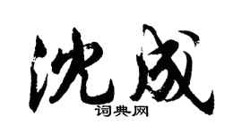 胡问遂沈成行书个性签名怎么写