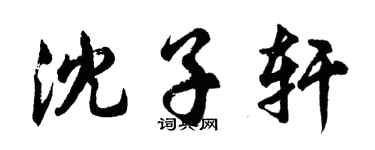 胡问遂沈子轩行书个性签名怎么写