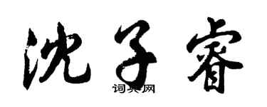 胡问遂沈子睿行书个性签名怎么写