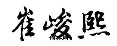 胡问遂崔峻熙行书个性签名怎么写