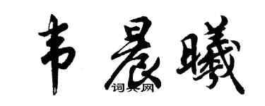 胡问遂韦晨曦行书个性签名怎么写