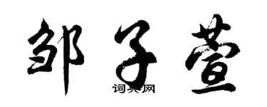 胡问遂邹子萱行书个性签名怎么写