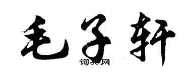 胡问遂毛子轩行书个性签名怎么写