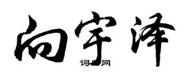 胡问遂向宇泽行书个性签名怎么写