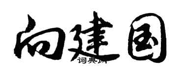 胡问遂向建国行书个性签名怎么写