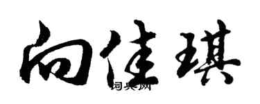 胡问遂向佳琪行书个性签名怎么写