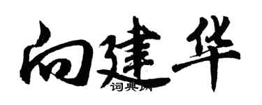 胡问遂向建华行书个性签名怎么写