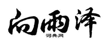 胡问遂向雨泽行书个性签名怎么写