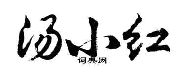 胡问遂汤小红行书个性签名怎么写