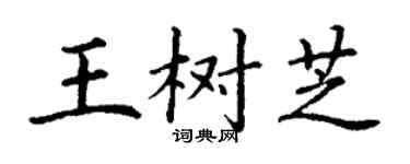 丁谦王树芝楷书个性签名怎么写