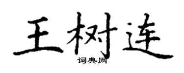 丁谦王树连楷书个性签名怎么写