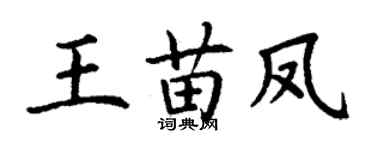 丁谦王苗凤楷书个性签名怎么写