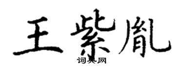 丁谦王紫胤楷书个性签名怎么写