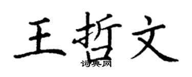 丁谦王哲文楷书个性签名怎么写