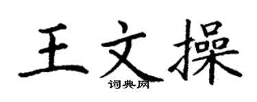 丁谦王文操楷书个性签名怎么写