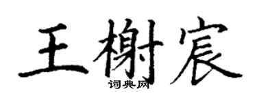 丁谦王榭宸楷书个性签名怎么写