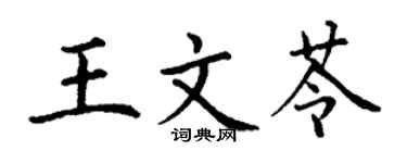 丁谦王文苓楷书个性签名怎么写