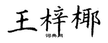 丁谦王梓椰楷书个性签名怎么写