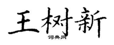 丁谦王树新楷书个性签名怎么写