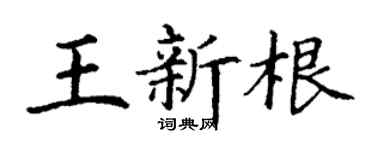 丁谦王新根楷书个性签名怎么写