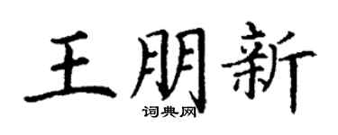 丁谦王朋新楷书个性签名怎么写