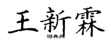 丁谦王新霖楷书个性签名怎么写