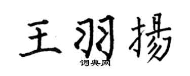 何伯昌王羽扬楷书个性签名怎么写